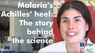 Story behind the science: Malaria's Achilles' heel - Sanger Institute