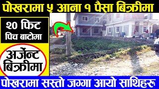 पोखरामा सुन्दर जग्गा अर्जेन्ट बिक्रीमा | Pokhara Ma Sasto Jagga Bikrima | Adhikari Real Estate |Land