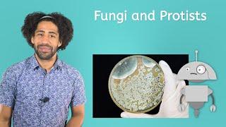 Fungi and Protists - Life Science for Kids!