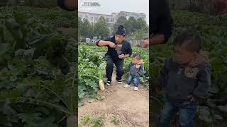 funny video 2025