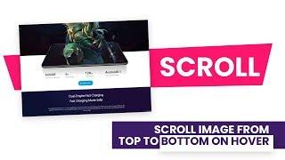 Image Scroll From Top to Bottom On Hover | CSS Image Hover Effects