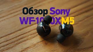 Обзор Sony WF-1000XM5 и сравнение с другими наушниками