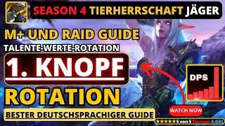 NEU! Saison 4 Tierherrschaft Jäger Guide #dragonflight #wow #jager