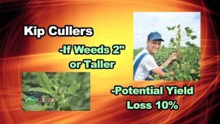 Soybean Pre-Emerge Herbicides #698 (Air Date 8/21/11)