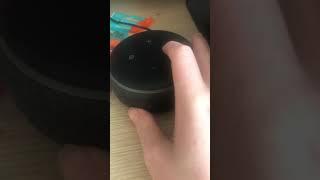 How to get the Echo Dot to turn Orange in order to setup your device!!!