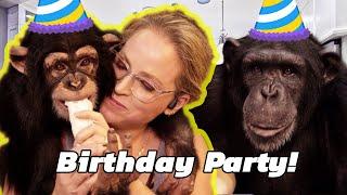 going to a chimpanzee birthday party!