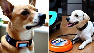 100 USEFUL Amazon Gadgets For Your Pets | All UNDER $50