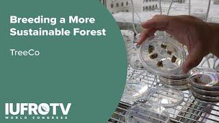 TreeCo: Breeding a More Sustainable Forest