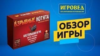 Взрывные котята. Обзор настольной игры от Игроведа