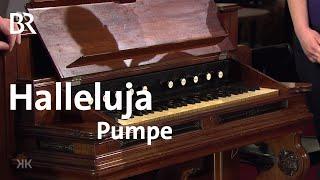 Halleluja-Pumpe für Pioniere: "Harmonium" | Kunst + Krempel