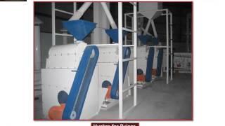 Color Sorter Machine Manufacturer in India