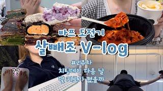 [바프다욧 브이로그#2] 살은 안 빠져도 치팅데이는 못 참지(ఠ ̥̆ ఠ) 어글리베이커리,국물두루치기️‍ 노력한만큼 결과가 안 나올 때 마음가짐