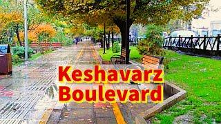 Keshavarz Boulevard - Elizabeth Boulevard - Driving - Tehran 5K