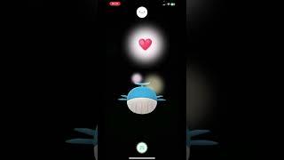 The biggest Pokémon in all of Pokémon GO!, xxl wailord #foryou #pokemon #pokemongo #huge
