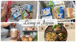 vlog | Daiso Shopping Haul, Top Up Grocery for the Week, Make Oyakodon for dinner 