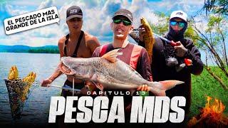 ATRAPAMOS UN PEZ ENORME • PESCA, SUPERVIVENCIA Y EXPLORACIÓN EN UNA NUEVA ISLA   VLOG MDS #13