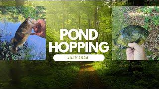 Summer Pond Hopping!  (July 2024 - Multi-Species)