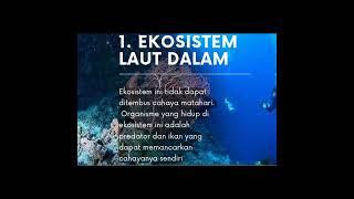 Ekosistem air laut