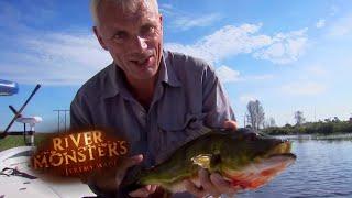 Catching A Peacock Bass | BASS | River Monsters