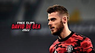 DAVID DE GEA 2022 ● FREE CLIPS / NO WATERMARK ● FREE TO USE ● HD 1080