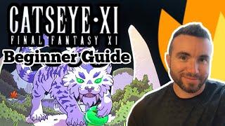 CatseyeXI Beginner Guide Final Fantasy 11 Private Server