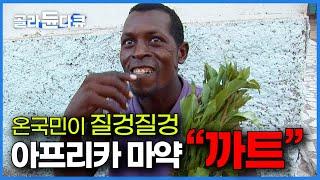 샌드위치의 20배 가격. 먹으면 배고픔을 느끼지 않는다는 마약성 식물에 온국민이 중독된 아프리카 지부티에 가다｜까트｜세계테마기행｜#골라듄다큐