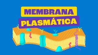 Membrana Plasmática - Toda Matéria