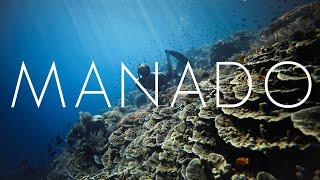 Indonesia Dive Trip - Manado