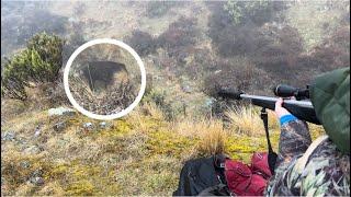 Public land overnight hunt NZ