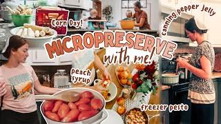 Cook with Me!: freezer pesto, peach syrup, pepper jelly + CORN DAY! | How I Micropreserve