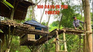 100 days alone to build a shelter in the deep forest and turn the wild forest into a farm