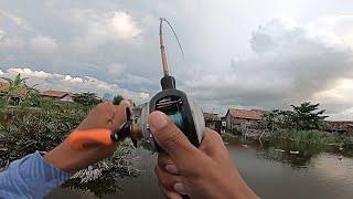 Musim Hujan pingin mancing ???  Cukup Dekat Pemukiman Warga saja sudah bisa dapat ikan besar !!