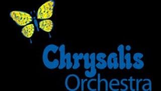 A private Family Office Insights Webinar featuring Terry Ellis of Chrysalis Orchestra LLC