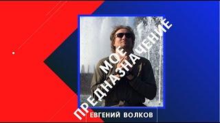 Мое предназначение. Как его определить, что нужно сделать? Евгений Волков