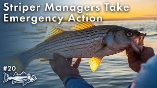 Striper Management: Emergency Action Explained with Mike Waine