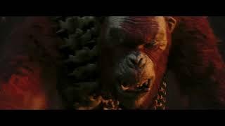 Godzilla x Kong: The New Empire (2024) - Kong Meets Skar King