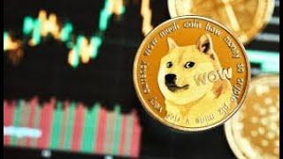 狗狗币2025年是否是一个好的投资标的？DOGECOIN狗狗币与市场情绪的关系！投资者心态与市场预期！狗狗币的未来：潜力与挑战并存！