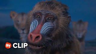 Mufasa: The Lion King Movie Clip - Rafiki's Dreams (2024)