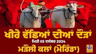 [Live] Marauli Kalan | Morinda | ਖੀਰੇ ਵੱਛਿਆਂ ਦੀਆਂ ਦੌੜਾਂ | Ox Races | 05 Dec 2024