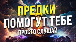 МЕДИТАЦИЯ ДЛЯ СНА "СИЛА РОДА"  РАСКРОЙ ПОТЕНЦИАЛ ЧЕРЕЗ ПОТОК ЭНЕРГИИ ПРЕДКОВ