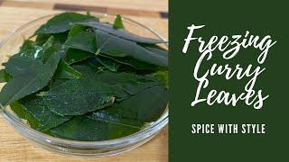 Freezing Curry Leaves | Storing Curry Leaves | కరివేపాకు | करी पत्ते