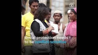 Social protection as a pathway to sustaining peace