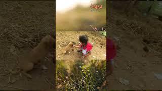 Small HandsBig Heart️ | ARYAN NIHAR M | #dog #shorts #trending #viral