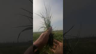 Рыбалка. Лайфхак