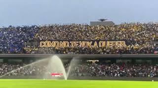 RECIBIMIENTO de la REBEL Pumas vs Chivas: COMO NO TE VOY A QUERER