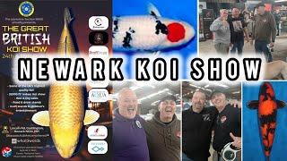 The Great British koi show 2024 (HIGHLIGHTS) #koishow #koipond #Newarkshowground