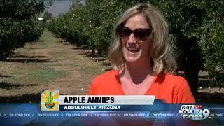 Apple Annie's still fruitful after more than 40 years in Willcox