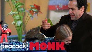 Monk Saves Mr. Henry, The Fish | Monk