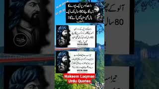 Hakeem Luqman Quotes In Urdu #shorts #ytshorts #shortfeed #viral #motivation #status #hakeemlukman