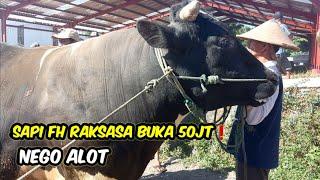 SAPI FH RAKSASA BUKA 50JT️NEGO ALOT